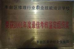 大鸡巴操我的骚逼